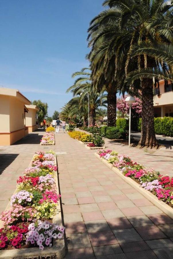 Hotel Summer Day Village Santa Maria Del Cedro Luaran gambar